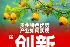 高端对话聚焦产业破局——中国策划研究院贵州分院启动年会筹备