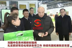 副总理刘国中赴黔调研，点赞荔波电商“架桥”助农促振兴