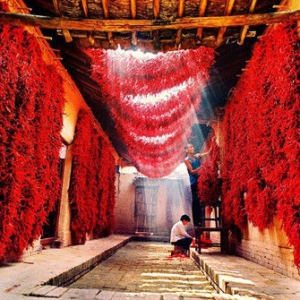 中国辣味江湖:没有最辣只有更辣