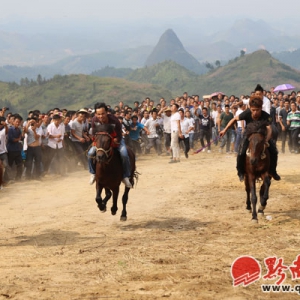 《山那边有匹马》在三都卯坡上完美杀青