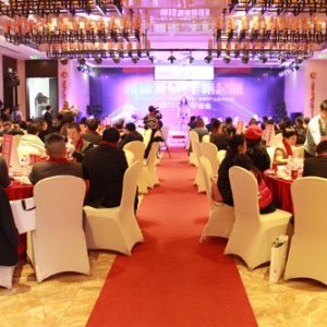 深圳广告传媒界湖南籍人士2015新春联谊会隆重举行