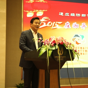 2015年湖南异地商会联合会迎新春联谊会在长召开