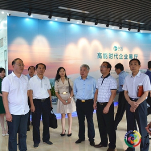 湖南省工商联赴全国30个异地湖南商会调研考察