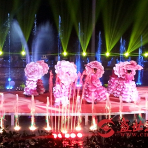 “龙腾盛世 花开三都”2016贵州湘企七十二行迎春晚会在三都举办