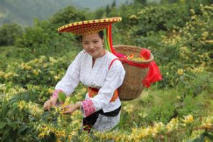 关于成立贵阳市湖南隆回商会的倡议书