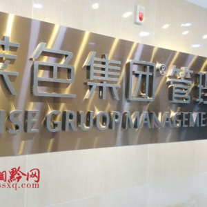 贵州湘商联合会会长黄建军率观摩团走访莱色视觉集团