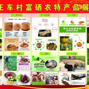 “硒”望在即，开阳县特困村王车村农特产品展销礼献贵阳人民