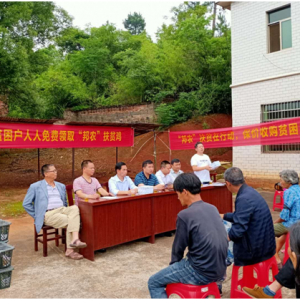 湖南衡南：邦农合作社真“帮农”，6300只鸡苗免费送给贫困户