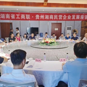 湖南省工商联·贵州湘商民营企业座谈会在贵阳举行