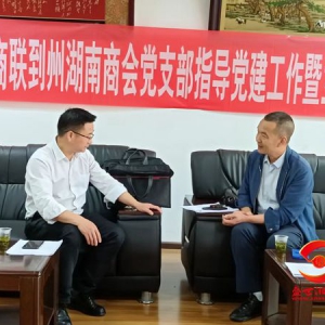 黔东南州湖南商会党支部举行党日主题活动