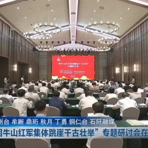 “困牛山红军集体跳崖千古壮举”专题研讨会在石阡举行 谌贻琴致辞