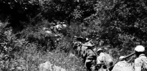 隆回剿匪之：张光标、刘东楚兄弟为匪生涯和落网经过