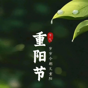 诗歌|重阳节优选诗11首  文/木鬼 杨智东 巴曼等