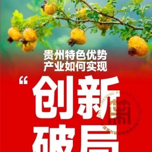 高端对话聚焦产业破局——中国策划研究院贵州分院启动年会筹备