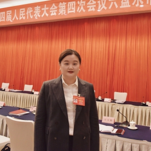 【两会声音】贵州湘商李园园：为贵州新能源产业升级献良策