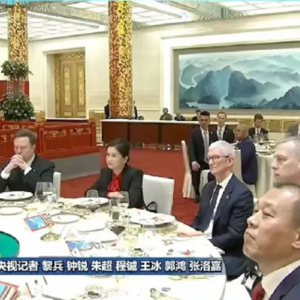 美国总统特朗普欢迎宴会上，湖南女企业家周群飞与库克、马斯克同席
