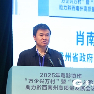 肖南龙：近30载携手筑同心，以“五大协作”绘就东西部协作新图景！